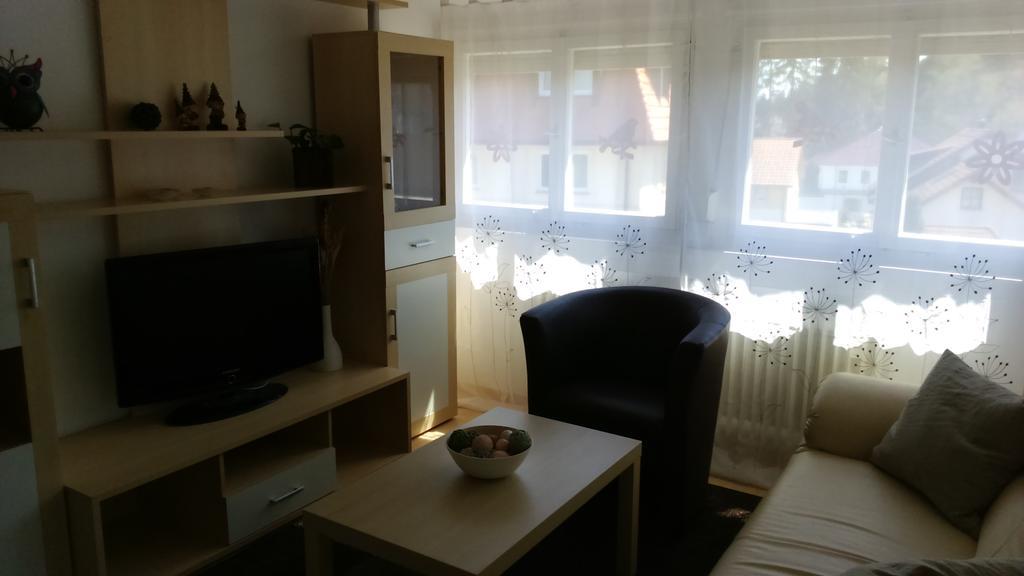Ferienwohnung Fruehlingsau Freudenstadt Extérieur photo